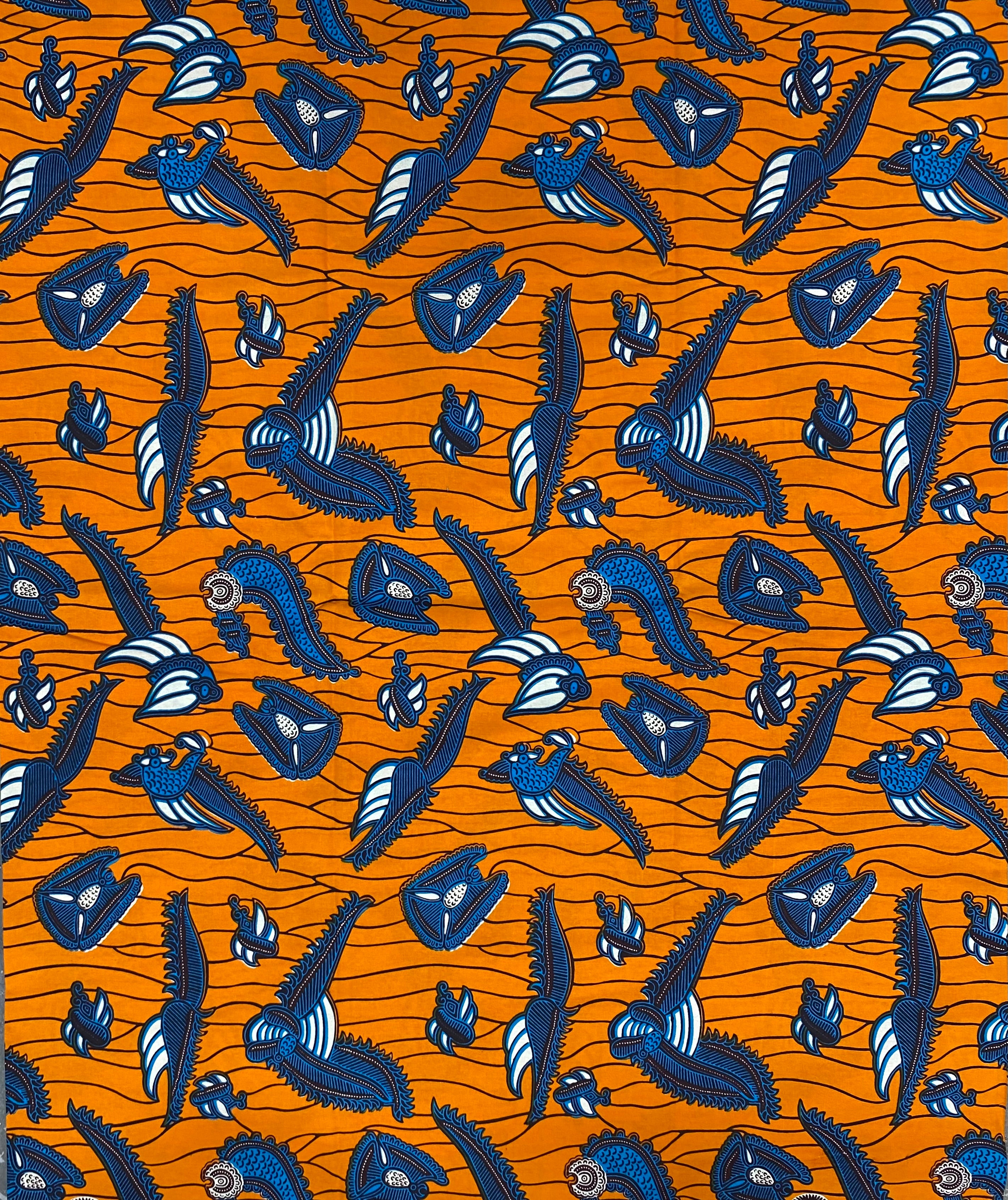 Birds of Paradise