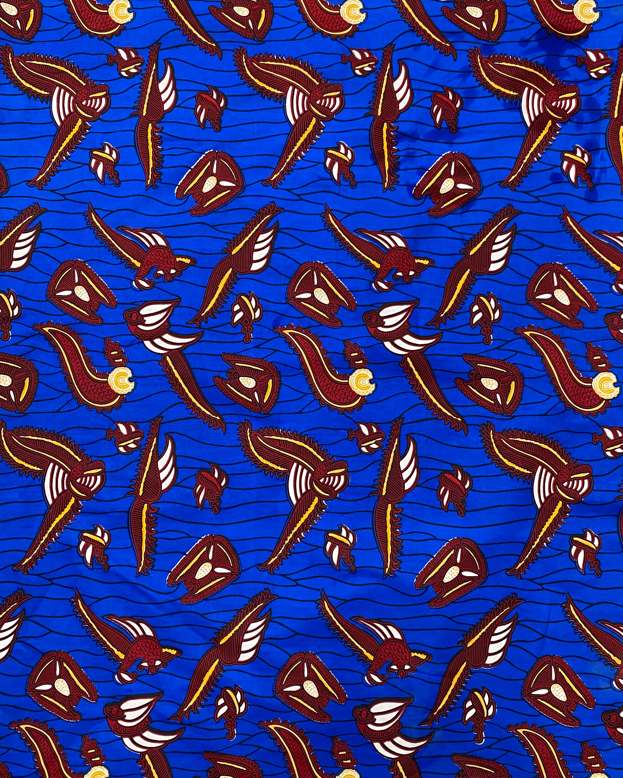 Blue Birds of Paradise