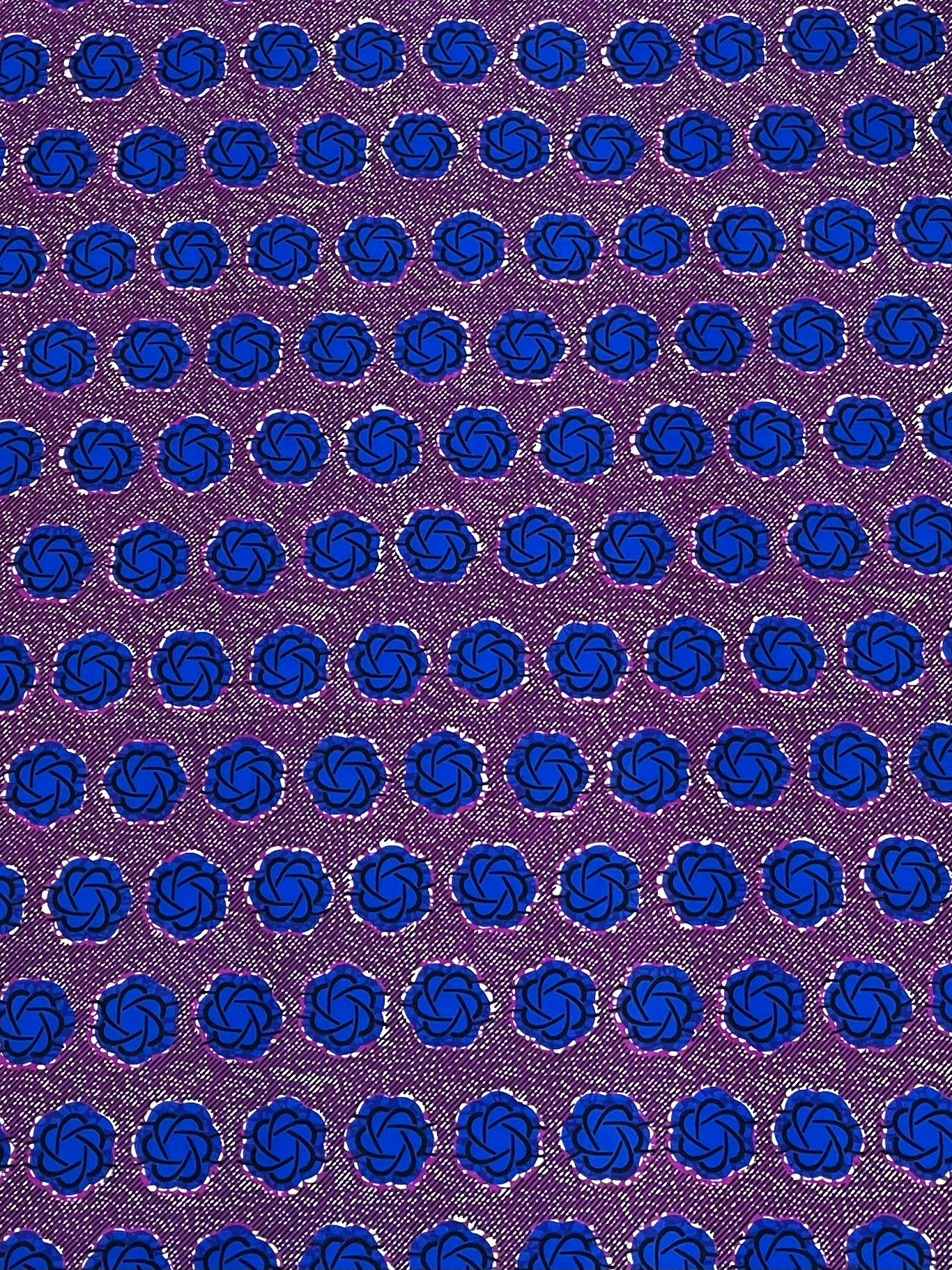 Blueberry Dream