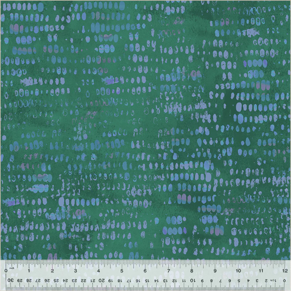 Planting Seeds - Agave