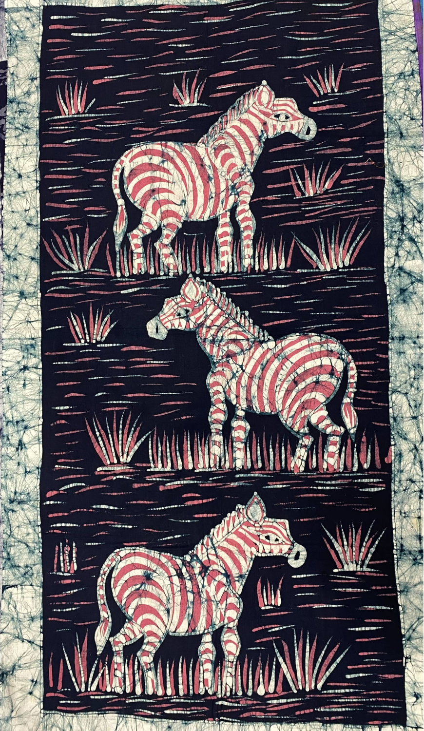 Zebra 204